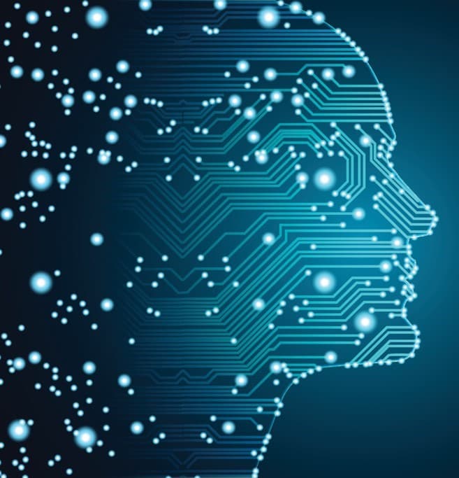 Digital face profile with circuit patterns